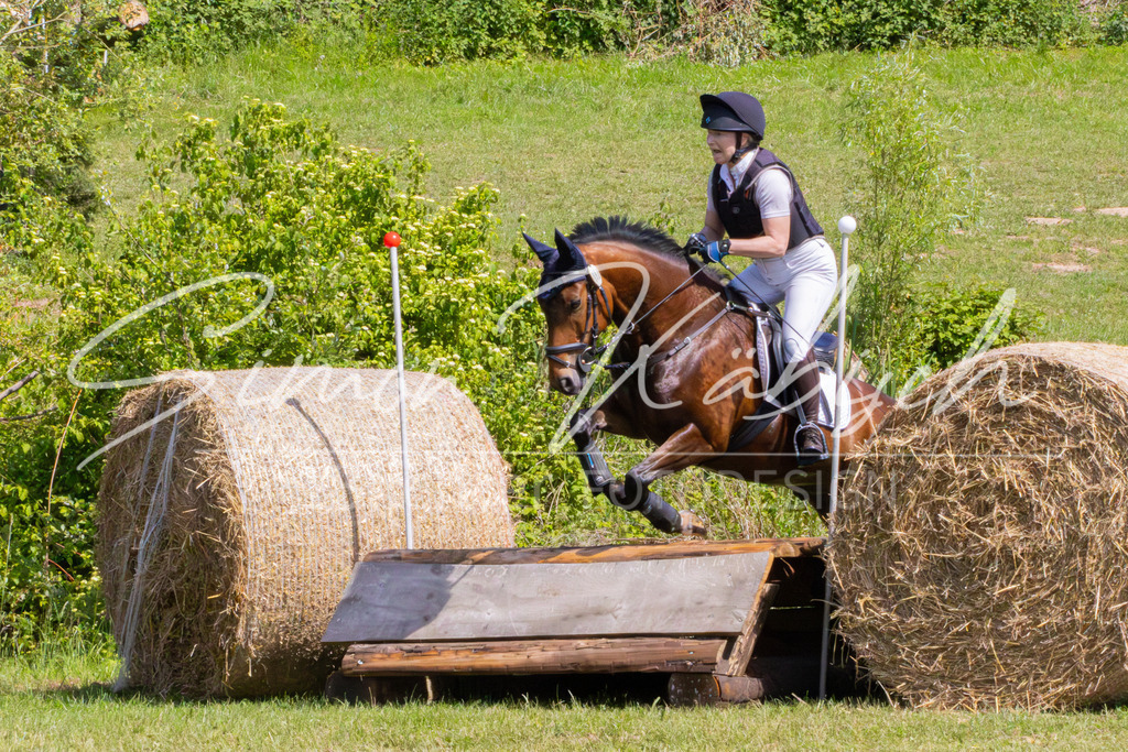 MBFotografie (53) | Tierfotografie Pferde, Hunde, Katzen, Haustiere.
Turnierfotografie Reitturniere, Reiten, Springreiten, Dressur in Hanau, dem Main-Kinzig-Kreis und dem Rhein-Main- Gebiet um Frankfurt