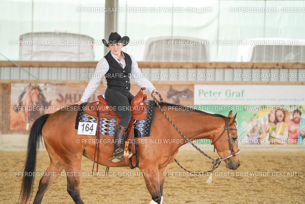 DSC04969 | Pferdegrafie