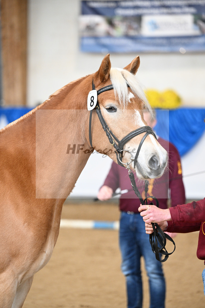 Bl. Band Kat-Nr. 8 Nancy v. Bugatti_Stadler_48251368 | hf-fotografie - Realisiert mit Pictrs.com