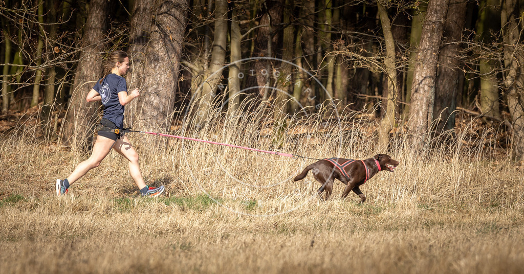 DV3A5908 | Hundefotografie, Tierfotograf, Pfotenfotografie, Fotoshooting Hund, Hunde Portrait, Hundesport, Hundeportraits, Heideshooting, Hunde, Sportfotograf, Hundefotograf, Turnierhundsport, THS,  - Realisiert mit Pictrs.com