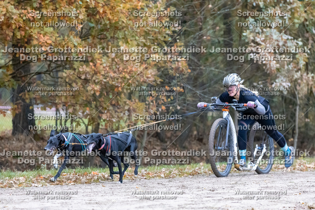 Dog Paparazzi - SD CaniX Championship 2025-160 | Dog Paparazzi Jeanette Grottendiek Fotografie & Videografie - Realisiert mit Pictrs.com