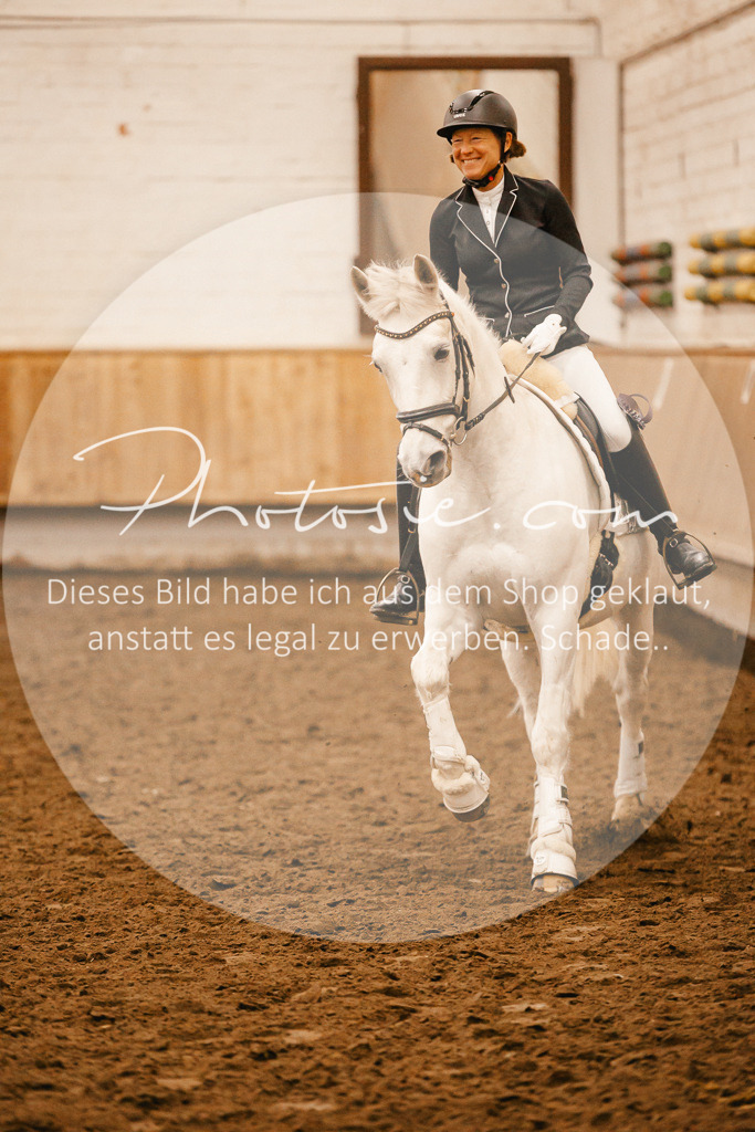 3I6A1526 | Stimmungsvolle Portraits und Reitsportfotografie im Ruhrgebiet und im Münsterland.

Pferdefotografie, Hundefotografie, Tierfotografie, Reportagen, Portraits von Tier und Mensch, Turnierfotografie in Bochum, Recklinghausen, Marl, Haltern am See, Dülmen.. - Realisiert mit Pictrs.com