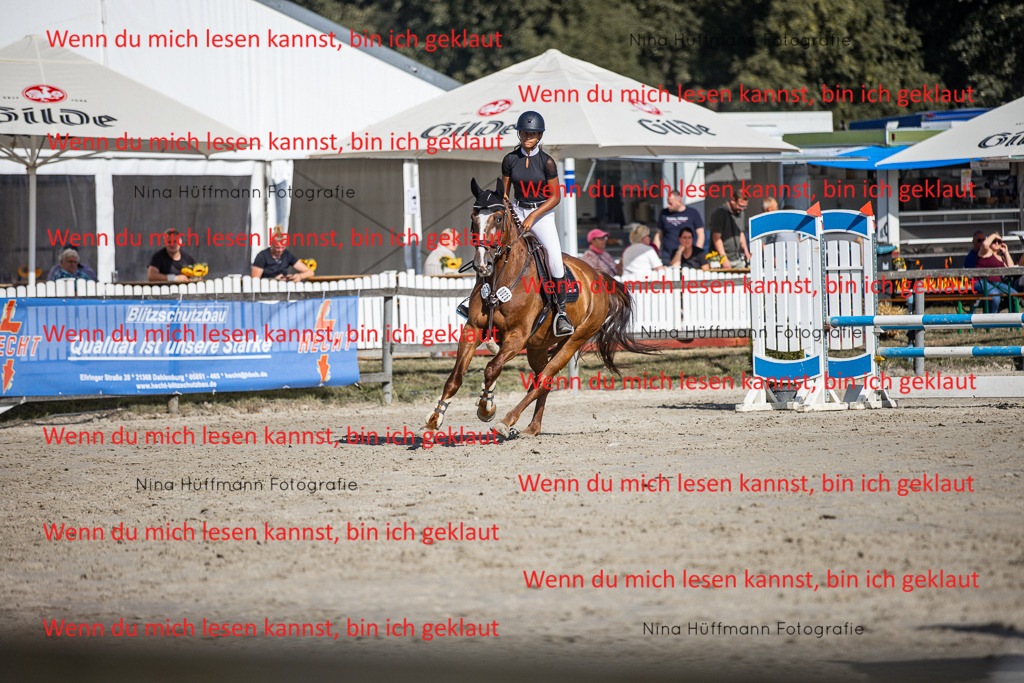 BK1A7320 | Turnierbilder Turnierfotos Nina Hüffmann Turnierfotografie Pferdefotografie Tierzeichnung Haustierzeichnung Pferdezeichnung Hundezeichnung Videograf  - Realisiert mit Pictrs.com