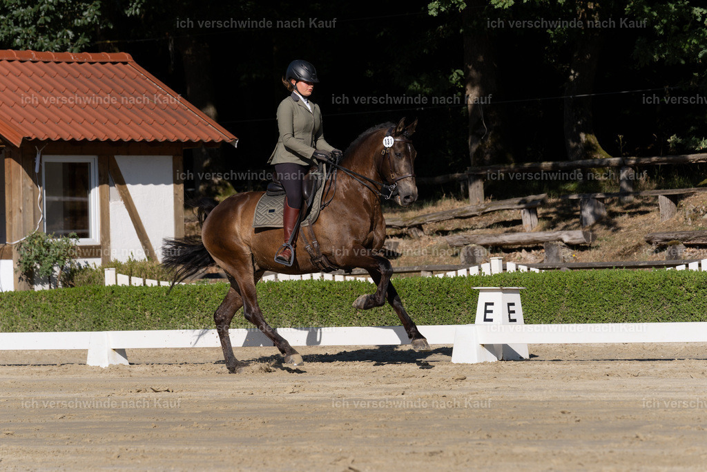 WM_DR_131_sinafilmart_IN04383 | working equitationturnier fotograf videograf stoibphotography marixx film working equitation deutschland reitsport turnierfotografie eventfotografie equestrian events