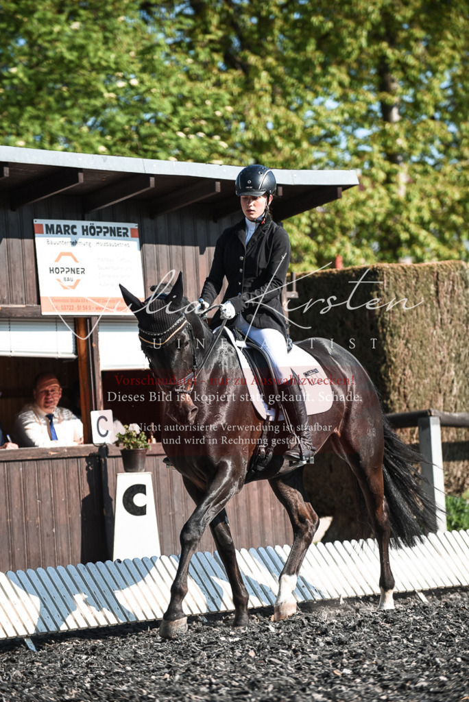 DSC_8336 | Pferde- und Turnierfotografie in Westsachsen. Pferdeportraits, Auftragszeichnungen und intuitive Kunst.