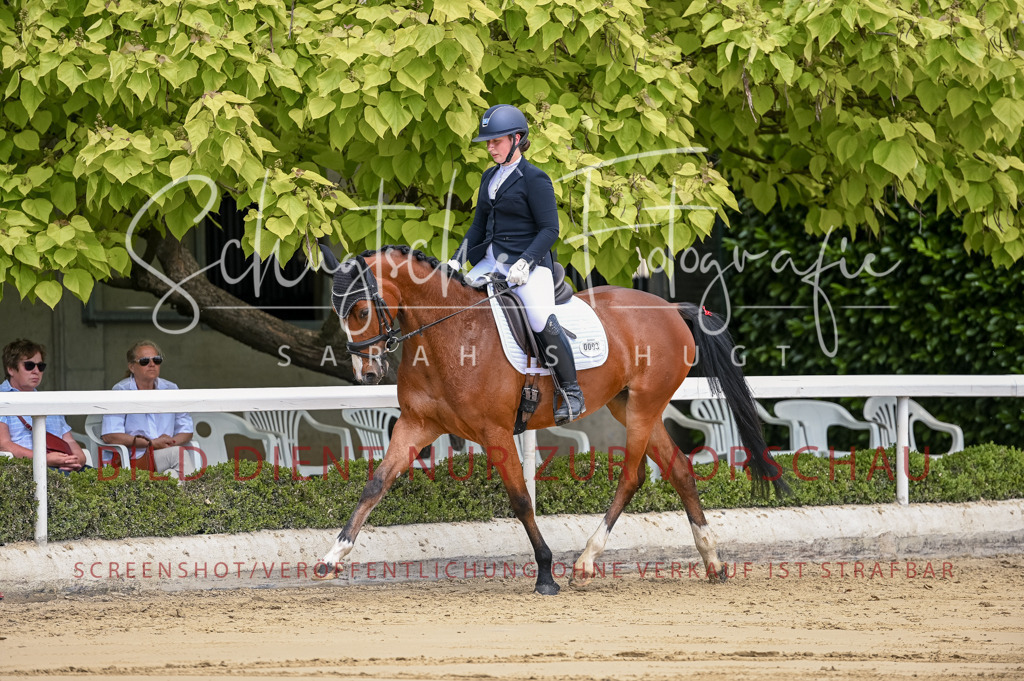 Schugtsche-Aluta25-48.Reitpferfdeprf.-150 | Schugtsche Fotografie - Realisiert mit Pictrs.com