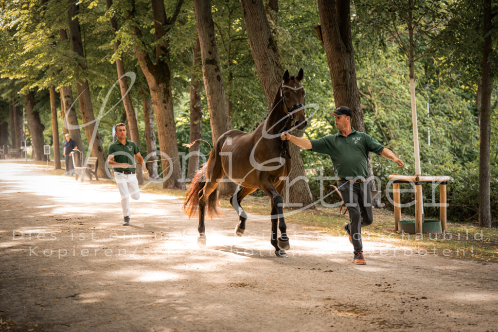 FrPfM00159 | Leoni Ertmer Photography - Realisiert mit Pictrs.com