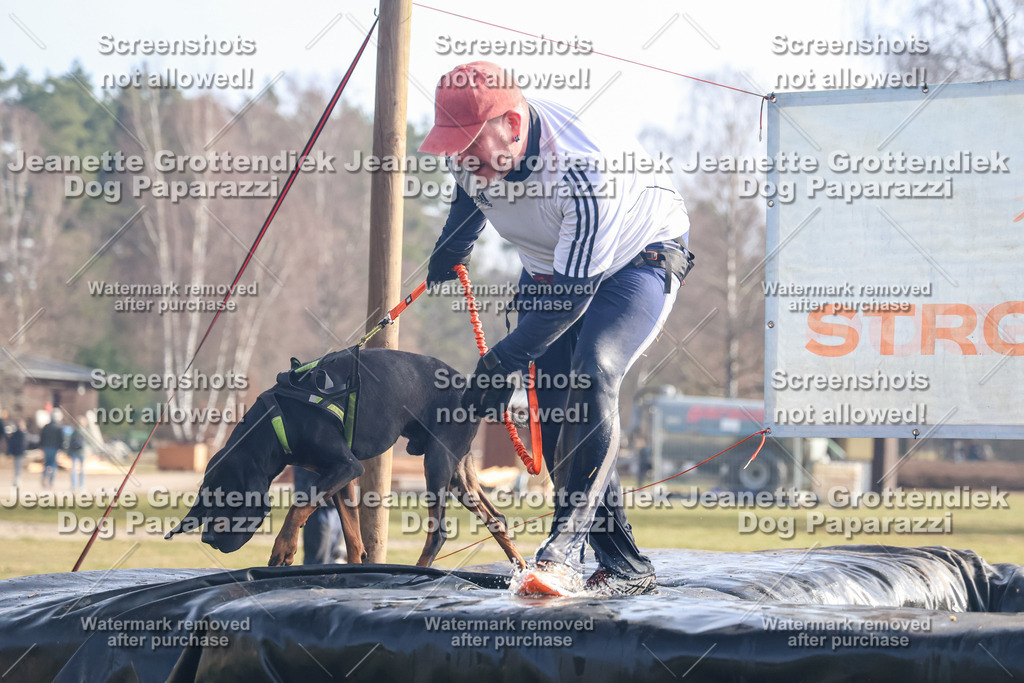 Dog Paparazzi - Strongdog North Mrz26-309 | Dog Paparazzi Jeanette Grottendiek Fotografie & Videografie - Realisiert mit Pictrs.com
