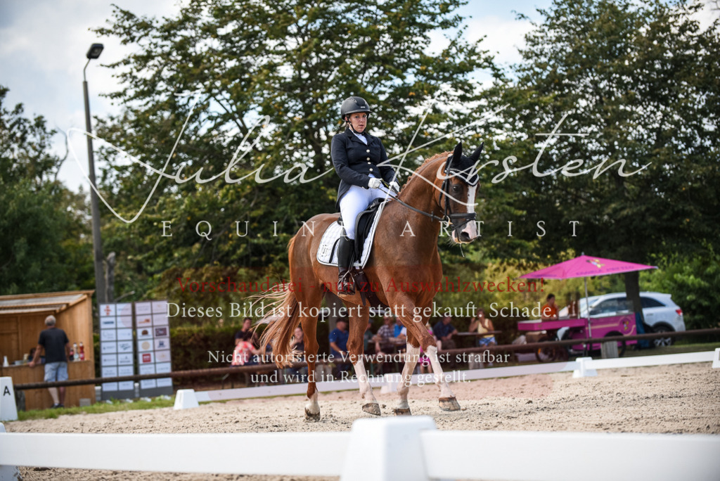 DSC_9322 | Pferde- und Turnierfotografie in Westsachsen. Pferdeportraits, Auftragszeichnungen und intuitive Kunst.