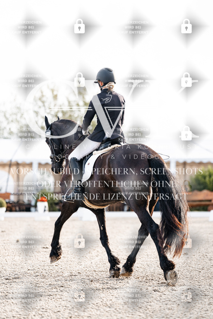 CK900368 | Turnierfotografie Pferdefotografie Trier Rheinland-Pfalz Pferdesport Reitsport Tierfotografie Sportfotografie Pferdevideo Pferdevideografie Equestrianvideography equestrianphotography  - Realisiert mit Pictrs.com