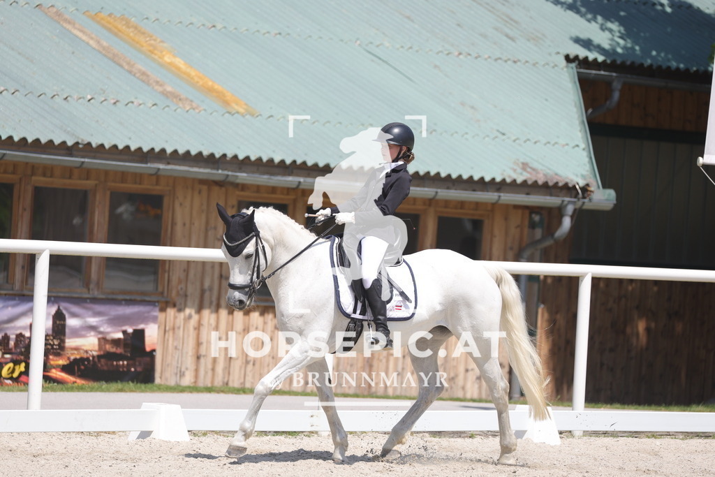 0P6A5997 | Willkommen bei Brunnmayr - Design & Fotografie – Ihrem Spezialisten für Reitturniere und Pferdeveranstaltungen in Oberösterreich, Salzburg und Bayern! Seit über 17 Jahren sind wir leidenschaftlich dabei.