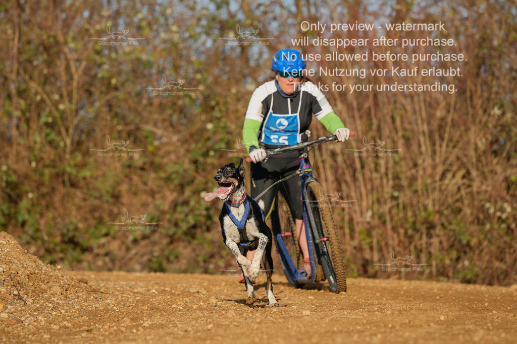 So_DVGBSP2025_Scooter (114 von 286) | stephaniefillaphotographie - Realisiert mit Pictrs.com