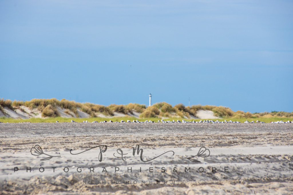 _Grenen22-1788 | Photographies and more - Realisiert mit Pictrs.com