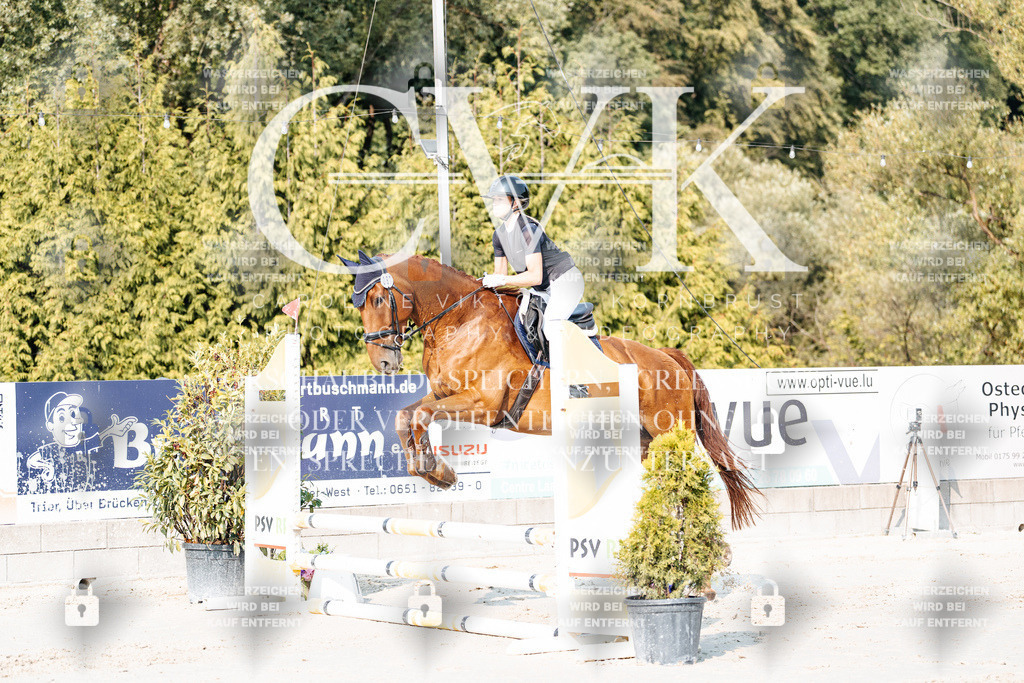 CK902823 | Turnierfotografie Pferdefotografie Trier Rheinland-Pfalz Pferdesport Reitsport Tierfotografie Sportfotografie Pferdevideo Pferdevideografie Equestrianvideography equestrianphotography  - Realisiert mit Pictrs.com