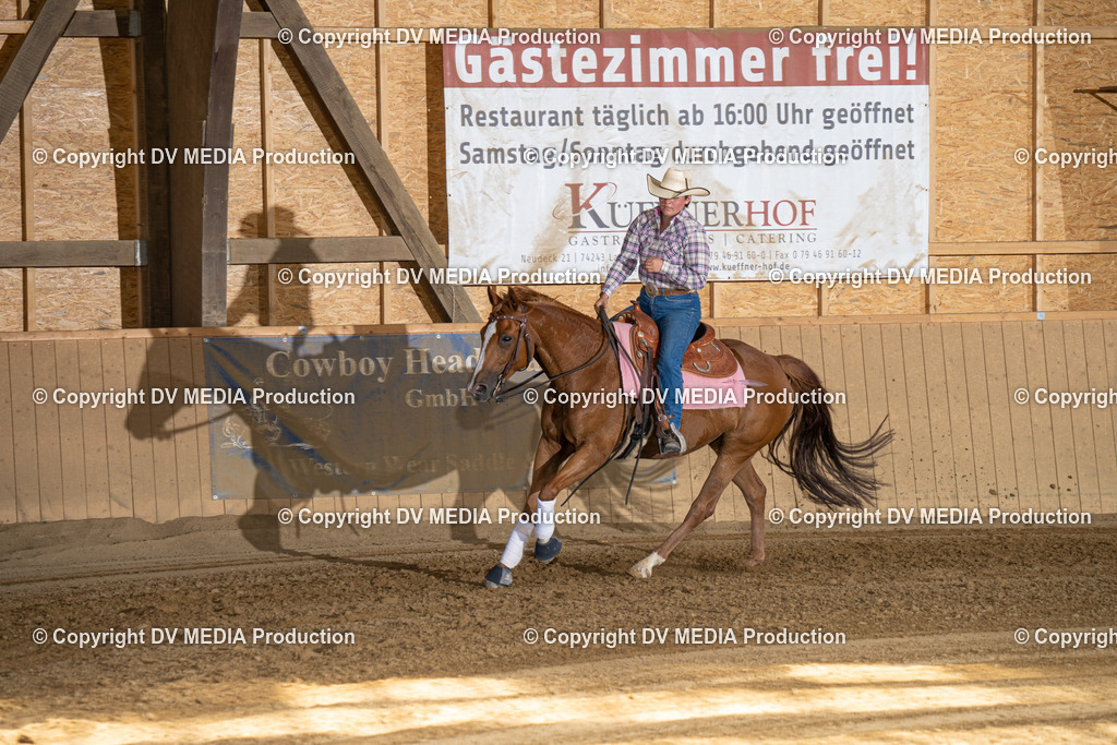 DSC00253 | dv-media-shop - Realisiert mit Pictrs.com