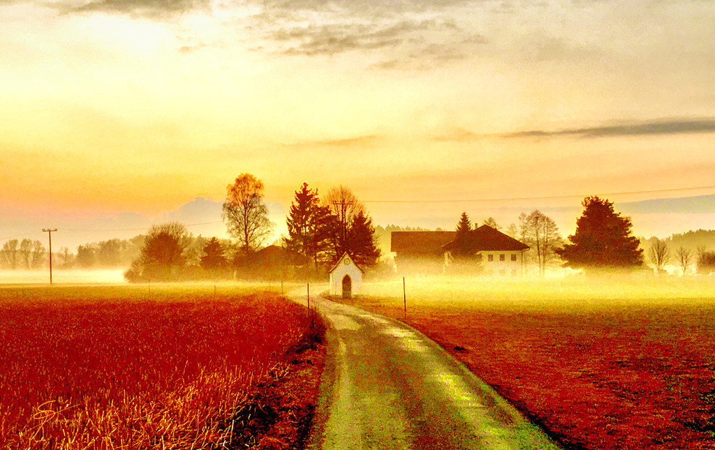 Erdinger Moos | www-pimpup-me - Realisiert mit Pictrs.com