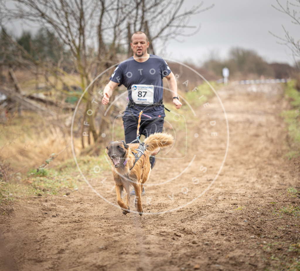DV3A9927 | Hundefotografie, Tierfotograf, Pfotenfotografie, Fotoshooting Hund, Hunde Portrait, Hundesport, Hundeportraits, Heideshooting, Hunde, Sportfotograf, Hundefotograf, Turnierhundsport, THS,  - Realisiert mit Pictrs.com
