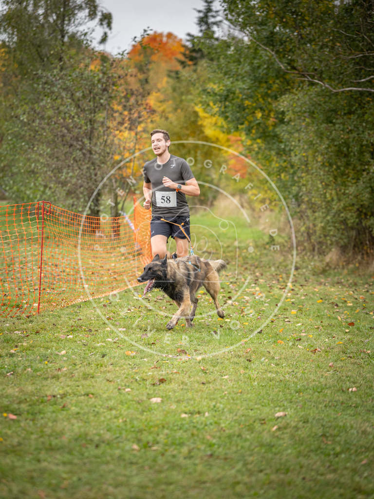 Pfotenfotografie_DV3A2607 | Hundefotografie, Tierfotograf, Pfotenfotografie, Fotoshooting Hund, Hunde Portrait, Hundesport, Hundeportraits, Heideshooting, Hunde, Sportfotograf, Hundefotograf, Turnierhundsport, THS,  - Realisiert mit Pictrs.com