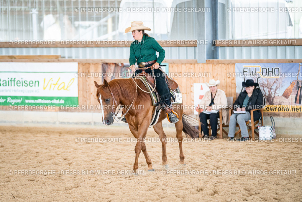 DSC03783 | Pferdegrafie