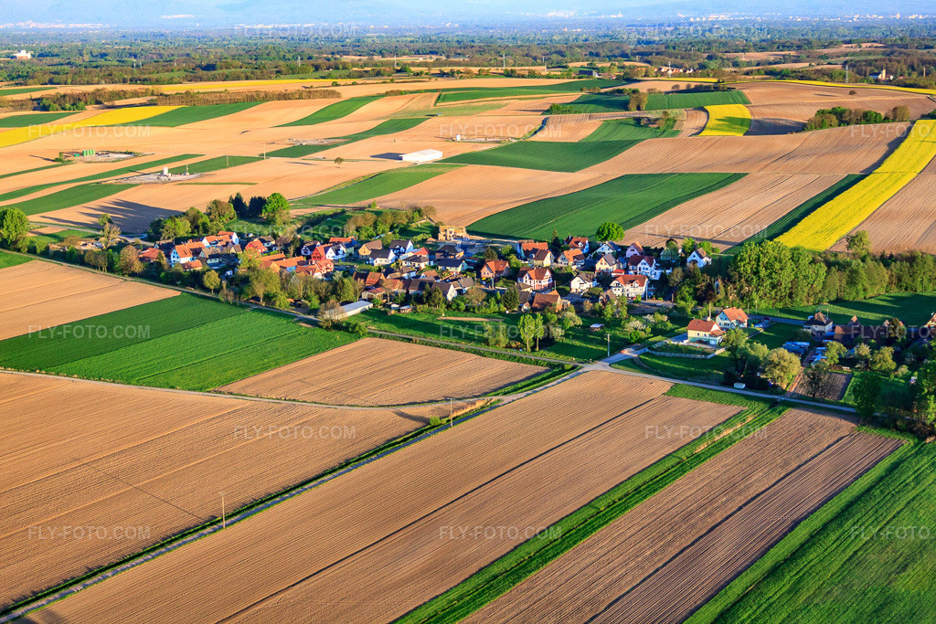 Aerial view: Rue Principale in Niederlauterbach in the state Bas-Rhin, France.Photo: IMG_64417.jpg taken on 04/17/2014 by Werner Riehm/FLY-FOTO.comResolution of the original: 4752 x 3168 px