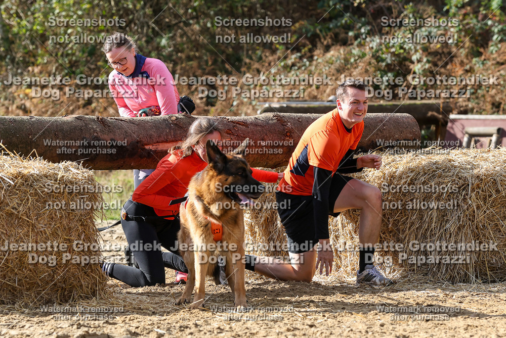 Dog Paparazzi - Strongdog 10-25-5525 | Dog Paparazzi Jeanette Grottendiek Fotografie & Videografie - Realisiert mit Pictrs.com
