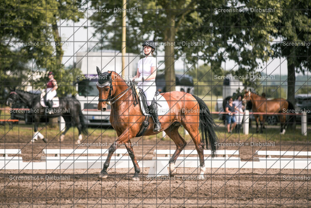 _W6A4474 | ronjaprokoschfotografie - Realisiert mit Pictrs.com
