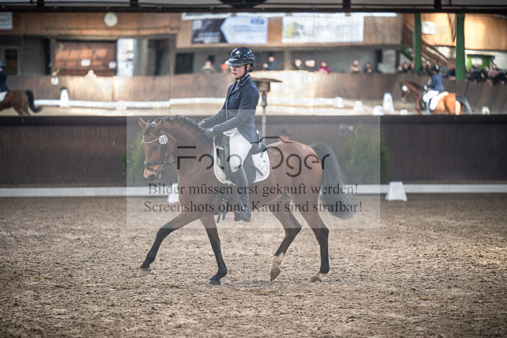 DOS_1060 | Entdecke hochwertige Reitturnierfotos von Foto Oger. Professionell, emotional und authentisch – jetzt Lieblingsmomente im Shop bestellen.Deutschlandweite Turnierfotografie. - Realisiert mit Pictrs.com