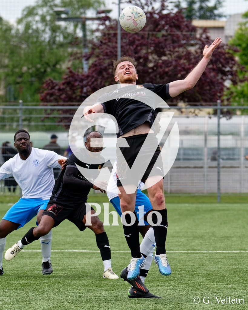 DSC_3447 | Velletri Photo