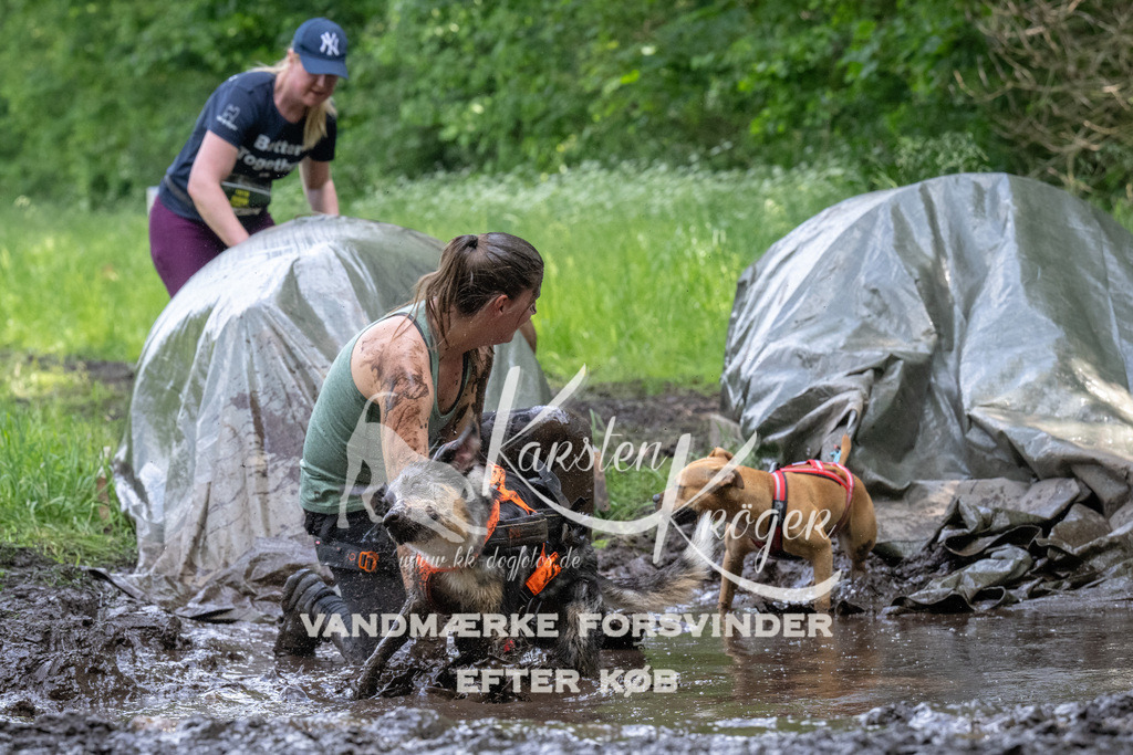 1347_ZZ92361 | kk-dogfotos