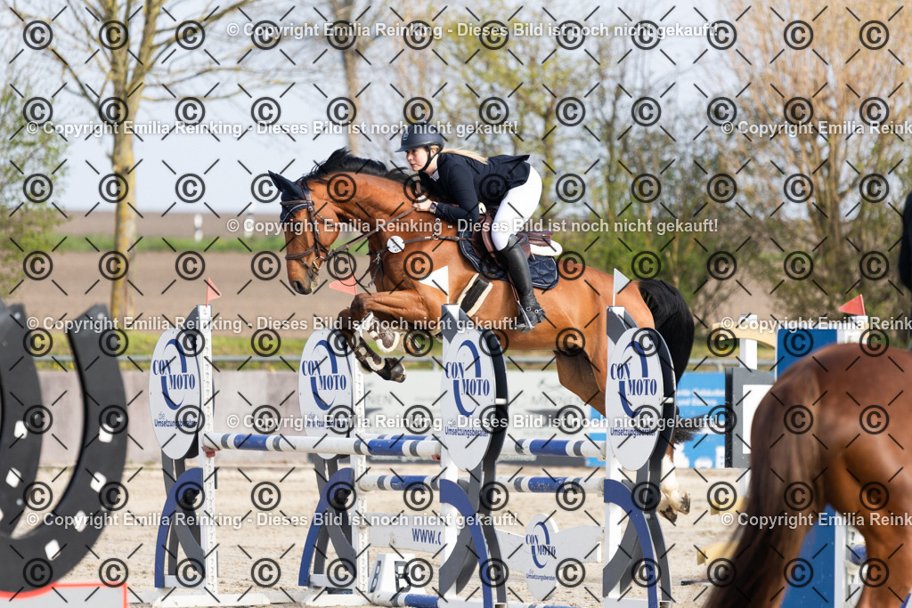 CL5A5106 | Emilia Reinking Fotografie - Realisiert mit Pictrs.com