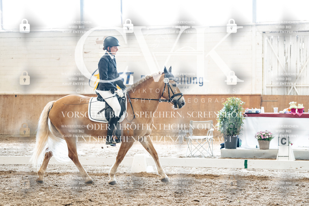 CK900015 | Turnierfotografie Pferdefotografie Trier Rheinland-Pfalz Pferdesport Reitsport Tierfotografie Sportfotografie Pferdevideo Pferdevideografie Equestrianvideography equestrianphotography  - Realized with Pictrs.com
