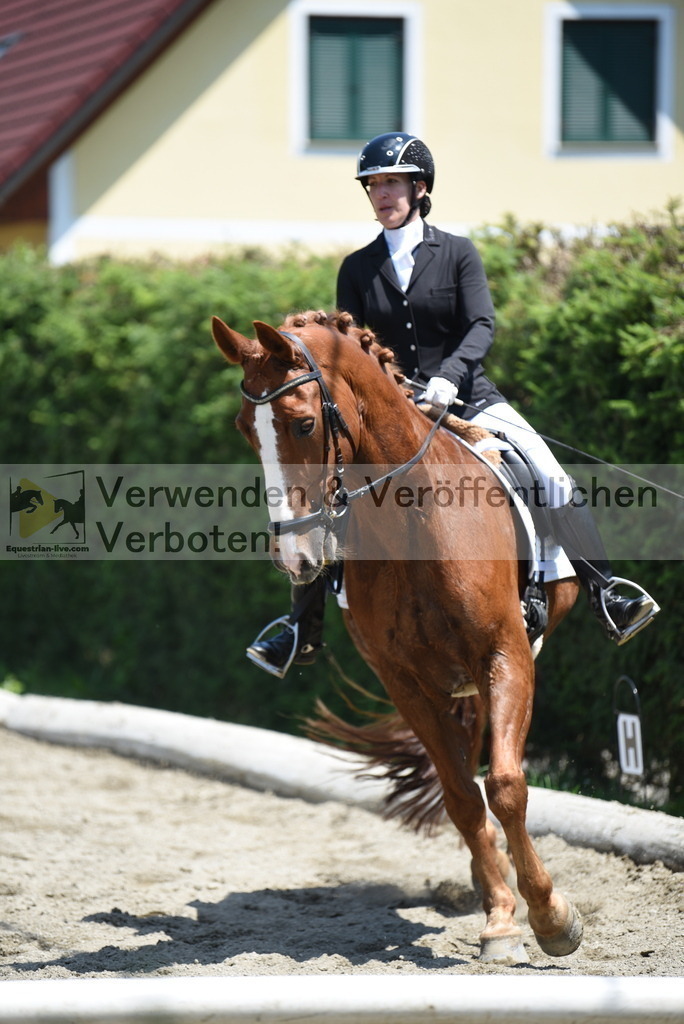 DSC_0409 | equestrian-live-com