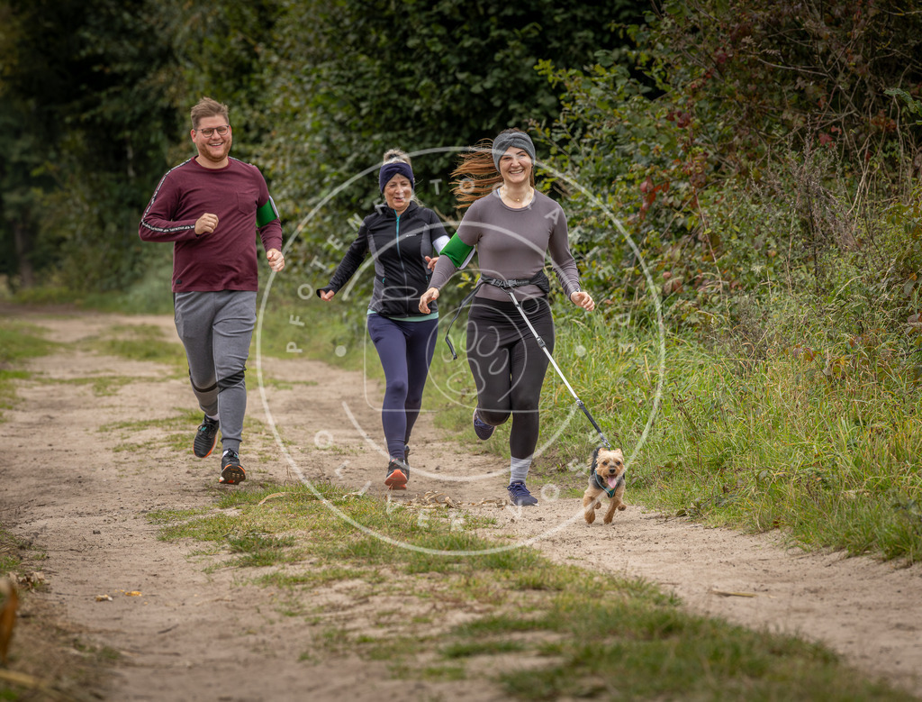 Pfotenfotografie_DV3A6744 | Hundefotografie, Tierfotograf, Pfotenfotografie, Fotoshooting Hund, Hunde Portrait, Hundesport, Hundeportraits, Heideshooting, Hunde, Sportfotograf, Hundefotograf, Turnierhundsport, THS,  - Realisiert mit Pictrs.com