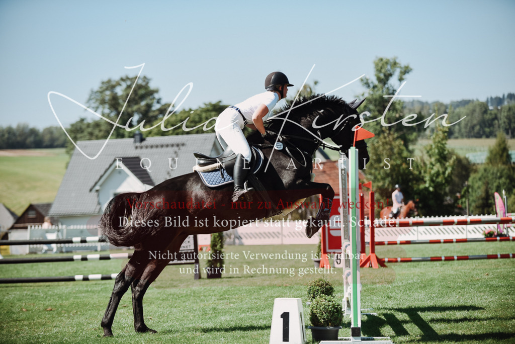 DSC_3055 | Pferde- und Turnierfotografie in Westsachsen. Pferdeportraits, Auftragszeichnungen und intuitive Kunst.