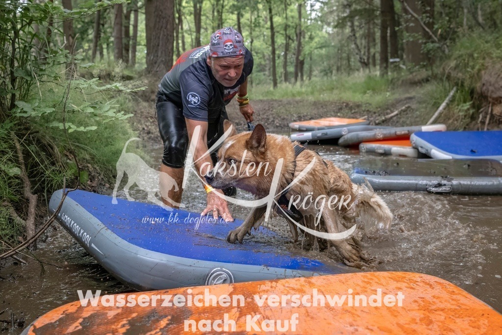 0854_ZZ99912T | kk-dogfotos