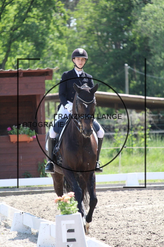 IMG_4640 | franziskalange - Realisiert mit Pictrs.com