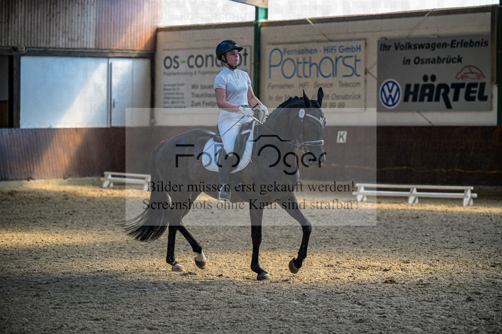 Reitturnier Voxtrup | Entdecke hochwertige Reitturnierfotos von Foto Oger. Professionell, emotional und authentisch – jetzt Lieblingsmomente im Shop bestellen.Deutschlandweite Turnierfotografie. - Realisiert mit Pictrs.com