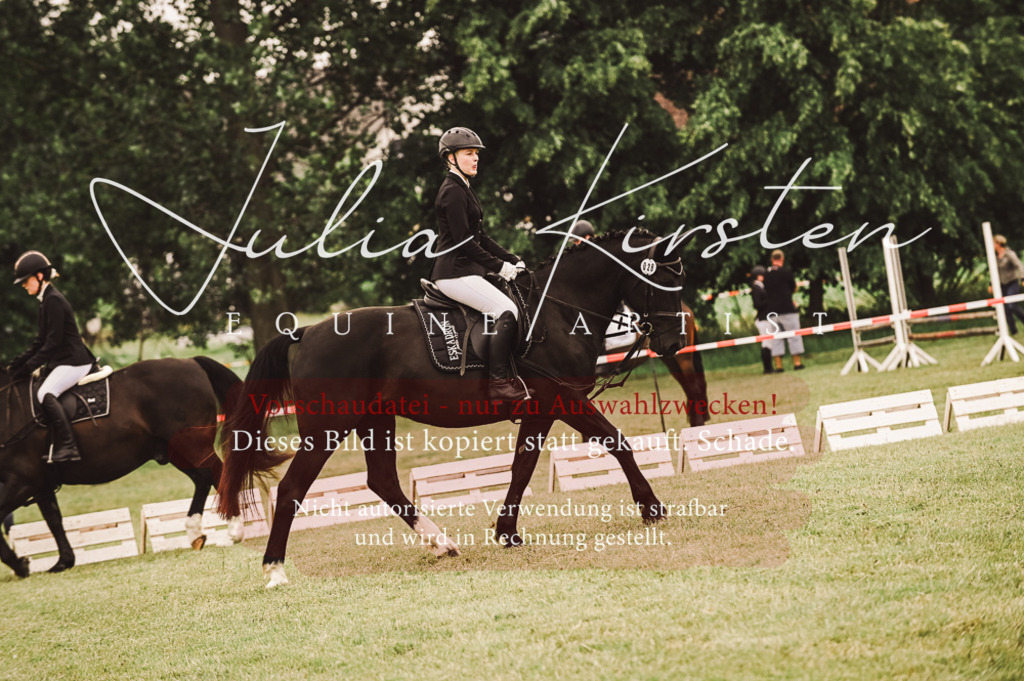 DSC_5075 | Pferde- und Turnierfotografie in Westsachsen. Pferdeportraits, Auftragszeichnungen und intuitive Kunst.