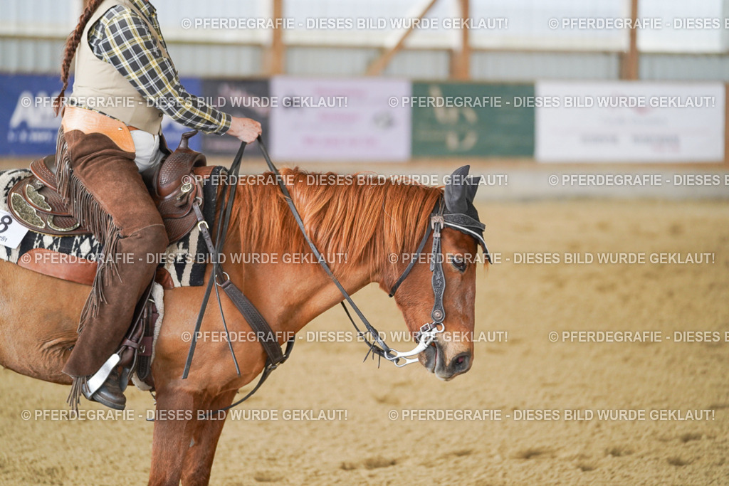 DSC03169 | Pferdegrafie