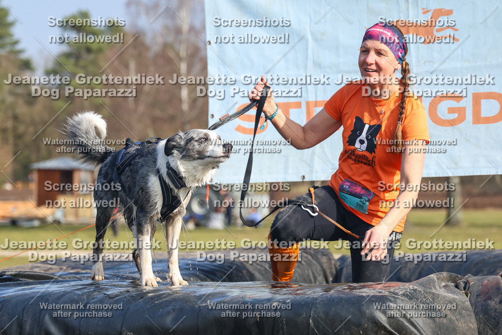 Dog Paparazzi - Strongdog North Mrz26-2986 | Dog Paparazzi Jeanette Grottendiek Fotografie & Videografie - Realisiert mit Pictrs.com