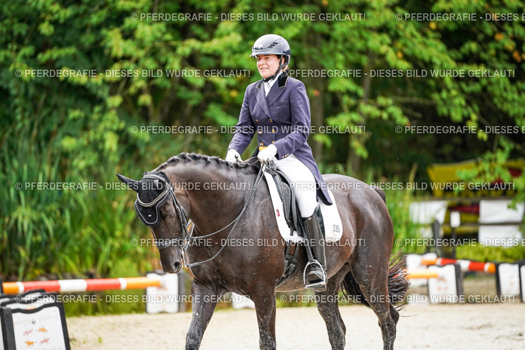 DSC00011 | Pferdegrafie