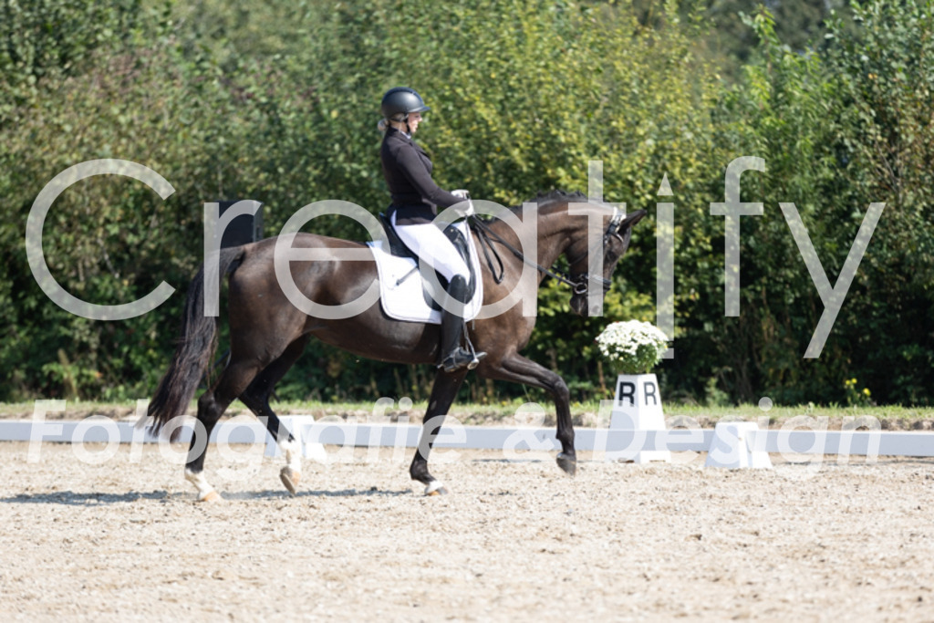 IMG_3969 | Creatify Fotografie