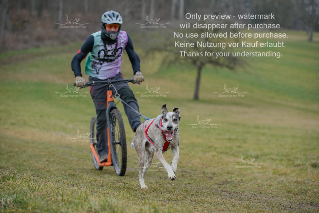 Sa_Scooter1-44 | stephaniefillaphotographie - Realisiert mit Pictrs.com