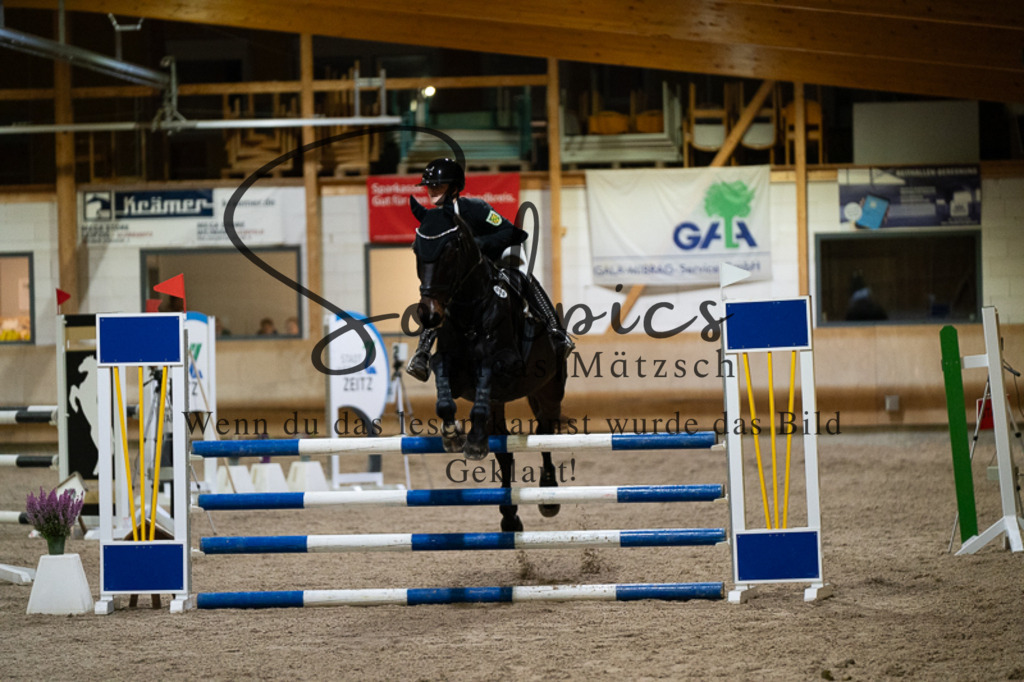 A7V03347 | Pferdefotograf