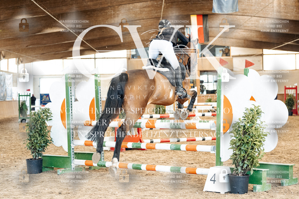 CK904855 | Turnierfotografie Pferdefotografie Trier Rheinland-Pfalz Pferdesport Reitsport Tierfotografie Sportfotografie Pferdevideo Pferdevideografie Equestrianvideography equestrianphotography  - Realized with Pictrs.com