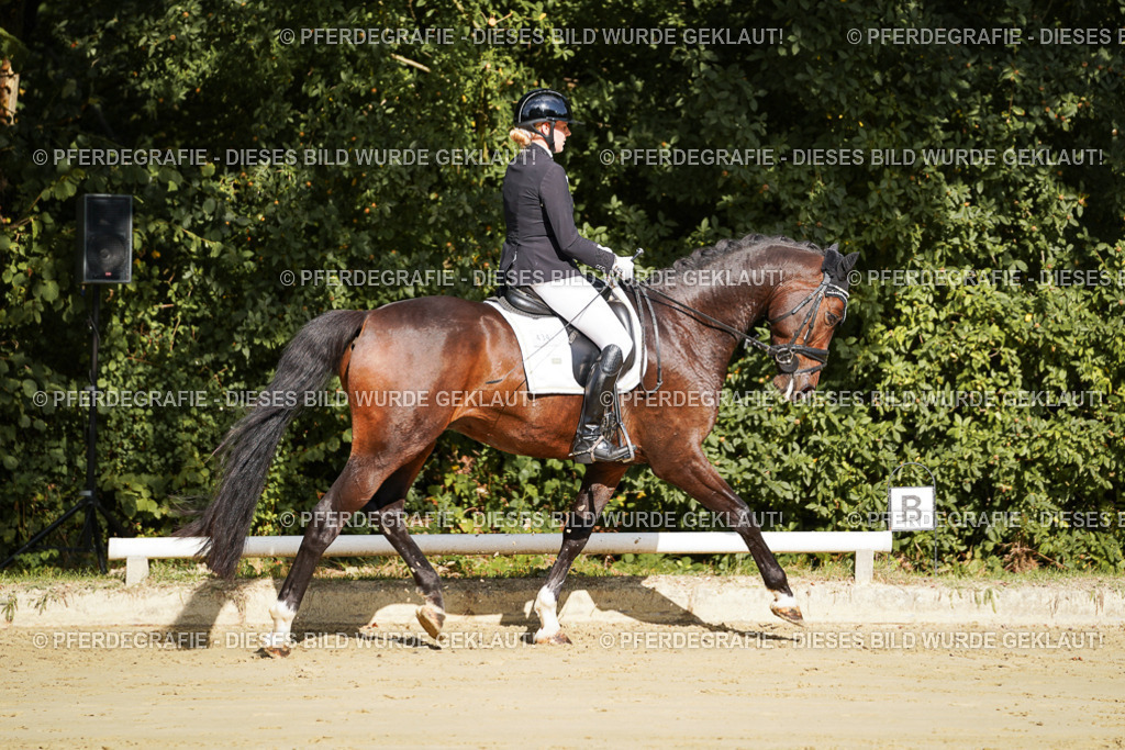 DSC07800 | Pferdegrafie