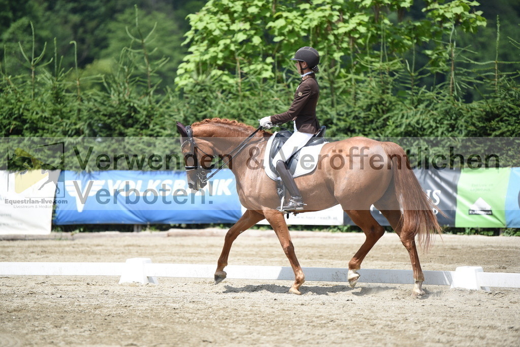 DSC_9221 | equestrian-live-com