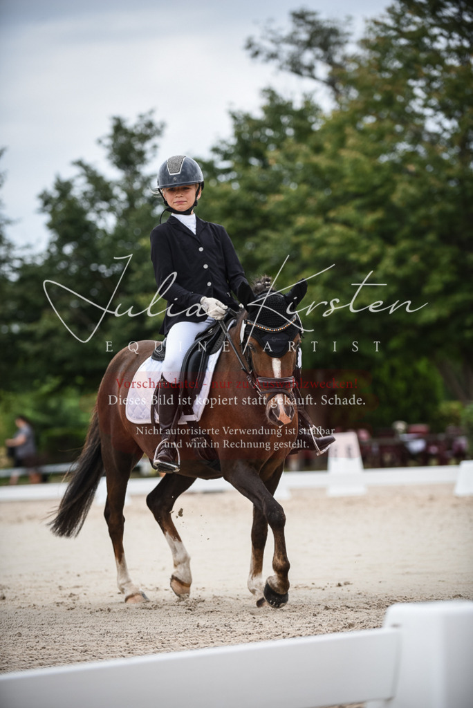 DSC_8120 | Pferde- und Turnierfotografie in Westsachsen. Pferdeportraits, Auftragszeichnungen und intuitive Kunst.