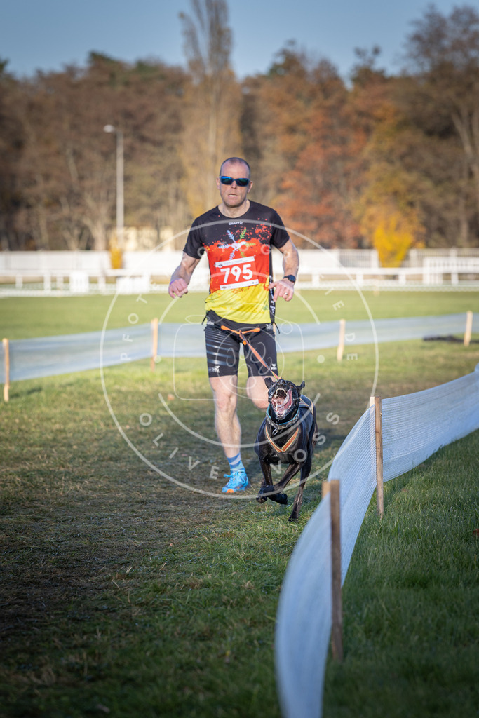 CaniXpix_DV3A2842 | Hundefotografie, Tierfotograf, Pfotenfotografie, Fotoshooting Hund, Hunde Portrait, Hundesport, Hundeportraits, Heideshooting, Hunde, Sportfotograf, Hundefotograf, Turnierhundsport, THS,  - Realisiert mit Pictrs.com