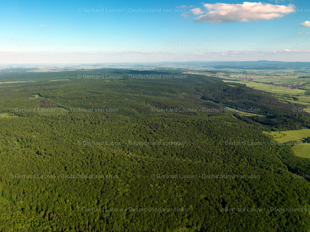 3204377 | Hainich Nationalpark